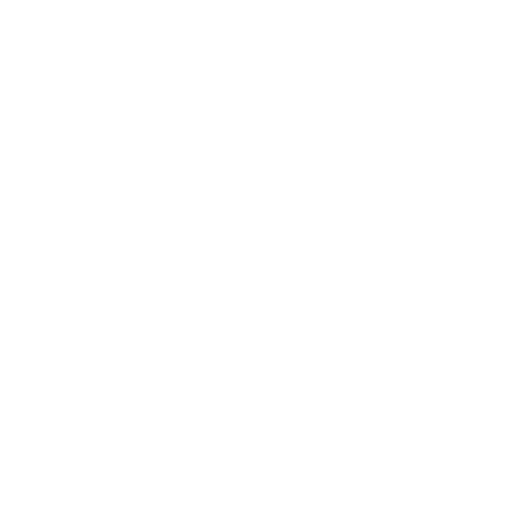 sec_1_icon